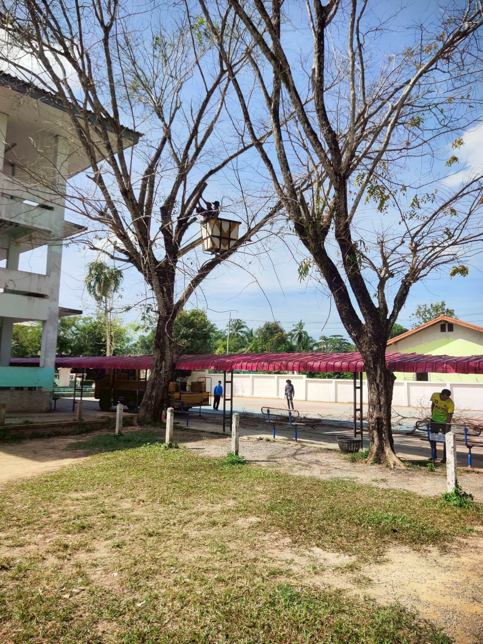 กองช่าง ทต.เจ๊ะบิลัง ให้ความอนุเคราะห์ตัดต้นไม้ โรงเรียนบ้านเจ๊ะบิลัง